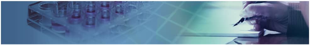 臨床評価報告書（案）の作成サポート  